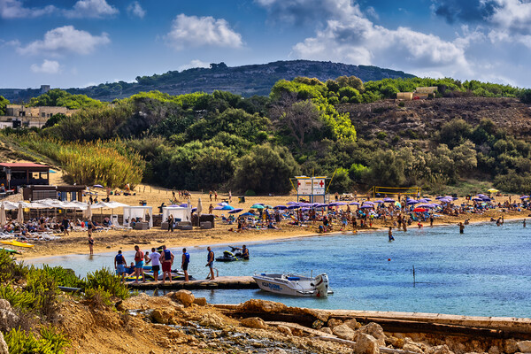 Golden Bay And Beach On Malta Island Picture Board by Artur Bogacki