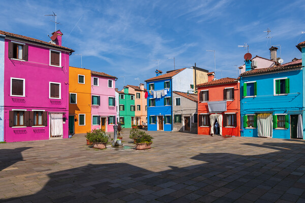 Colorful Houses of Burano in Italy Picture Board by Artur Bogacki