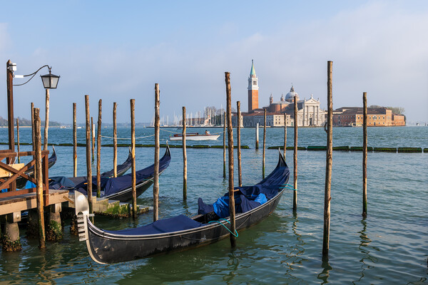 Venice Gondolas And San Giorgio Maggiore Island Picture Board by Artur Bogacki