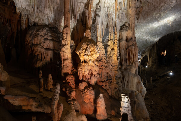 Postojna Cave In Slovenia Picture Board by Artur Bogacki