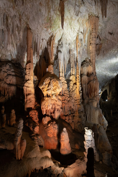 Postojna Cave In Slovenia Picture Board by Artur Bogacki