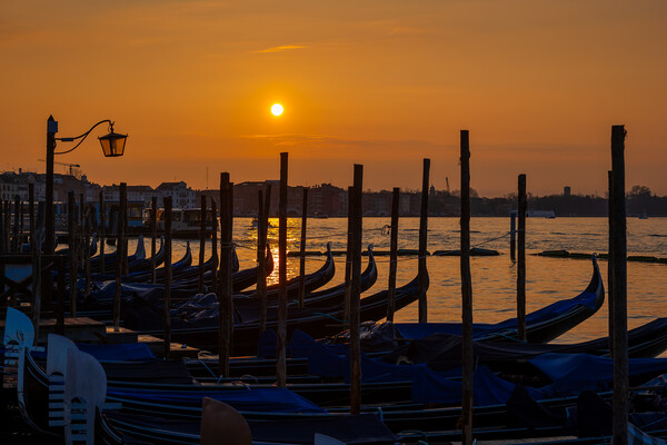 Venice Gondolas At Sunrise Picture Board by Artur Bogacki