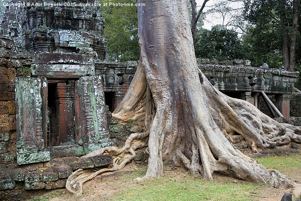 Ta Prohm Temple in Cambodia Picture Board by Artur Bogacki