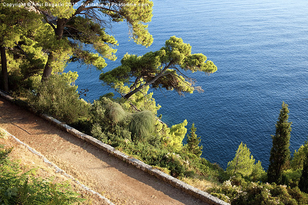 Path Along Adriatic Sea Coastline Picture Board by Artur Bogacki