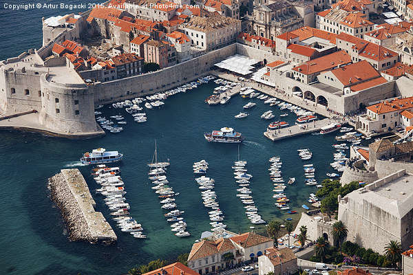 Marina in Old City of Dubrovnik Picture Board by Artur Bogacki
