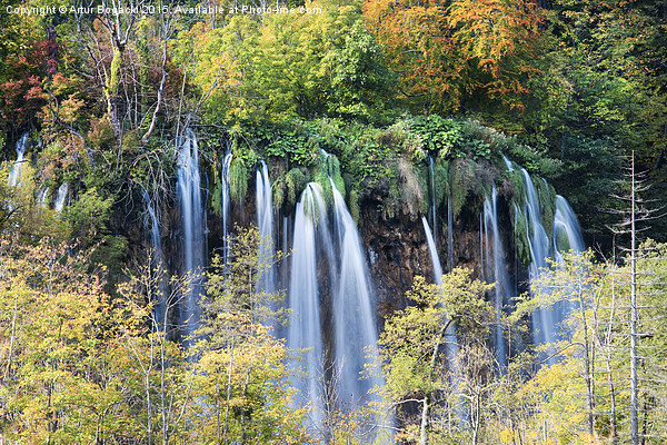Autumn Foliage and Waterfall Picture Board by Artur Bogacki