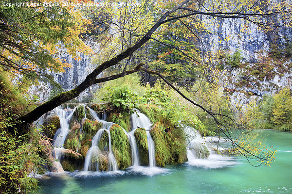 Waterfall in Autumn Scenery Picture Board by Artur Bogacki