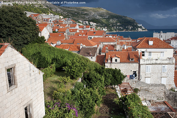 Old City of Dubrovnik in Croatia Picture Board by Artur Bogacki