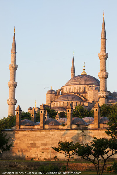 Blue Mosque in Istanbul at Sunrise Picture Board by Artur Bogacki