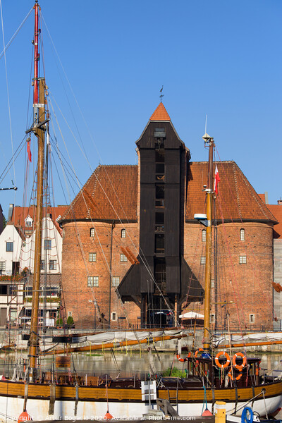 The Crane in Gdansk Picture Board by Artur Bogacki