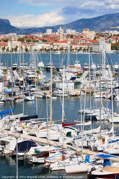 Marina in City of Split in Croatia Picture Board by Artur Bogacki