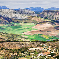 Buy canvas prints of Andalucia Countryside by Artur Bogacki