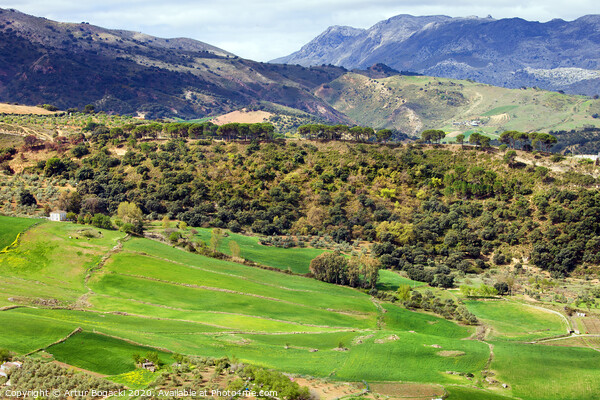 Andalusia Landscape Picture Board by Artur Bogacki