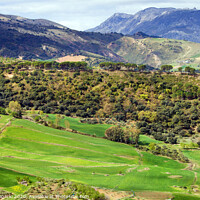 Buy canvas prints of Andalusia Landscape by Artur Bogacki