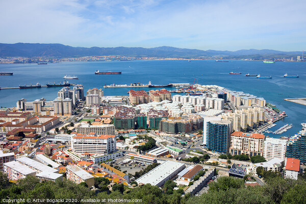 Gibraltar Town and Bay Picture Board by Artur Bogacki