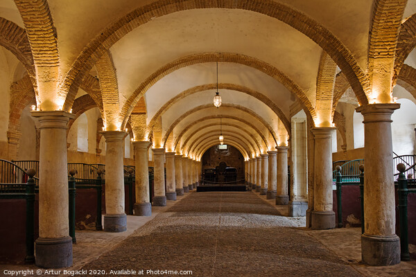 Royal Stables in Cordoba Picture Board by Artur Bogacki