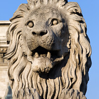 Buy canvas prints of Lion Sculpture on Chain Bridge in Budapest by Artur Bogacki