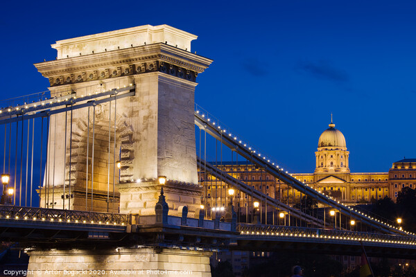 Chain Bridge and Buda Castle at Night in Budapest Picture Board by Artur Bogacki
