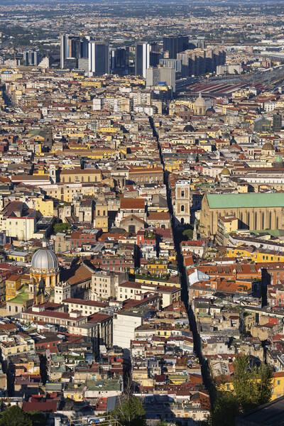 Naples City Aerial View In Italy Picture Board by Artur Bogacki
