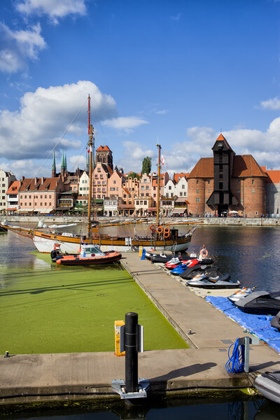 Marina and Old Town of Gdansk Skyline Picture Board by Artur Bogacki