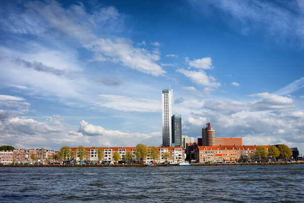 Rotterdam Skyline in Netherlands Picture Board by Artur Bogacki