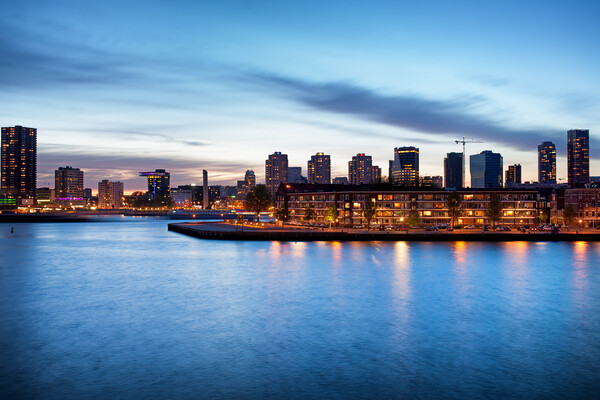 Rotterdam at Dusk Picture Board by Artur Bogacki