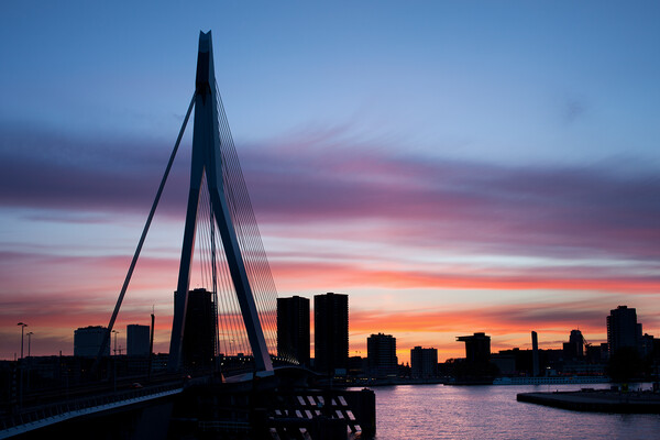 City of Rotterdam Skyline Silhouette Picture Board by Artur Bogacki