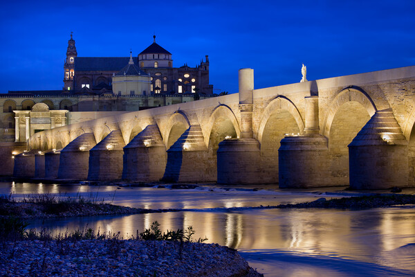 Roman Bridge and Mosque Cathedral in Cordoba Picture Board by Artur Bogacki