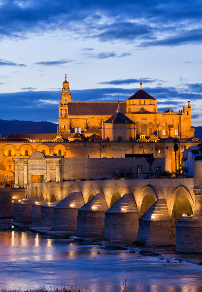 Puente Romano and Mezquita at Twilight in Cordoba Picture Board by Artur Bogacki