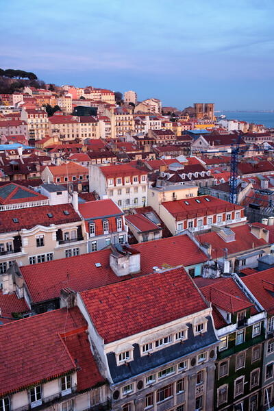 City of Lisbon at Twilight Picture Board by Artur Bogacki
