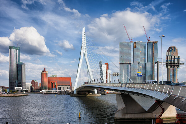 City Skyline of Rotterdam Picture Board by Artur Bogacki