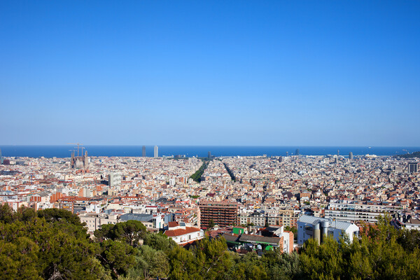 City of Barcelona Picture Board by Artur Bogacki