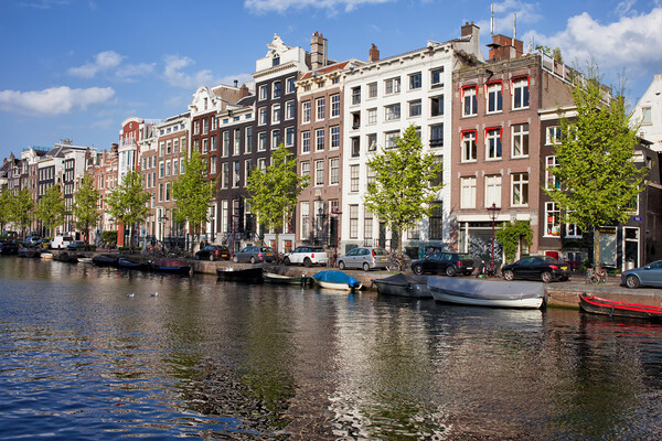 Singel Canal Houses in Amsterdam Picture Board by Artur Bogacki