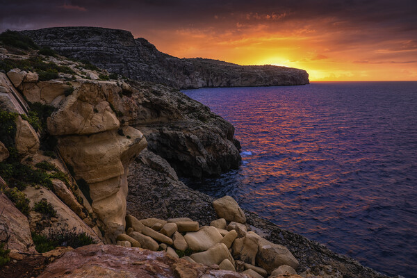 Malta Sea Coast At Sunrise Picture Board by Artur Bogacki