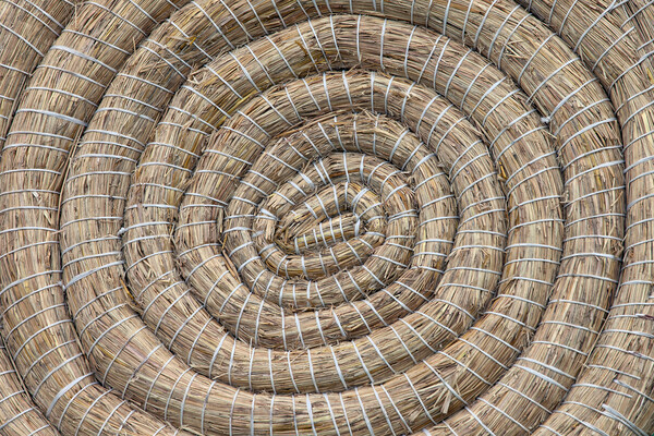 Archery Round Coiled Straw Target Background Picture Board by Artur Bogacki