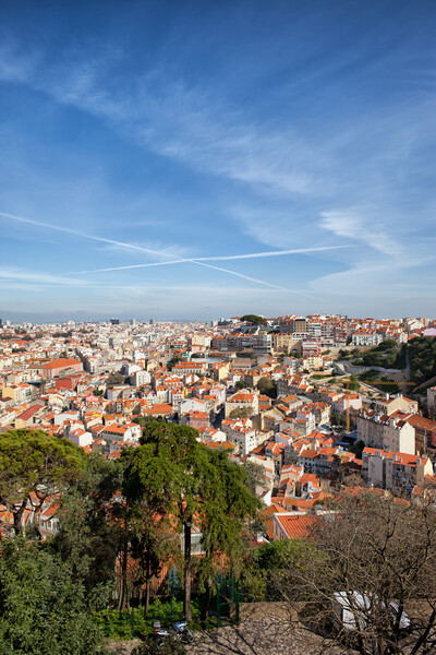 Cityscape of Lisbon in Portugal Picture Board by Artur Bogacki