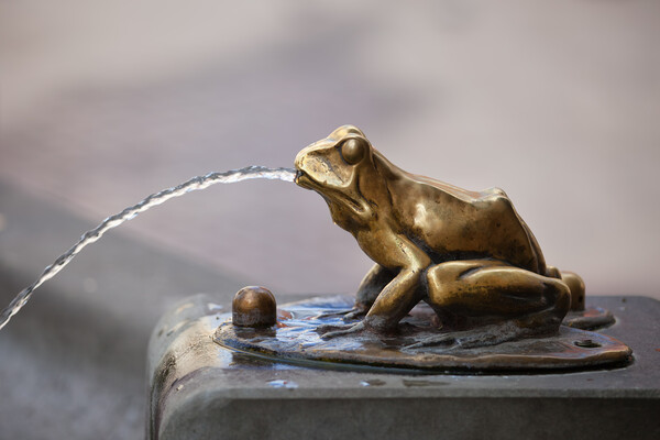 Frog Sculpture Pouring Water Fountain Detail Picture Board by Artur Bogacki