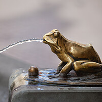 Buy canvas prints of Frog Sculpture Pouring Water Fountain Detail by Artur Bogacki