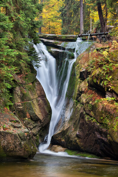 Szklarka Waterfall in Autumn Picture Board by Artur Bogacki