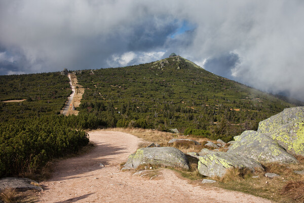 Trail to Szrenica Mountain Picture Board by Artur Bogacki