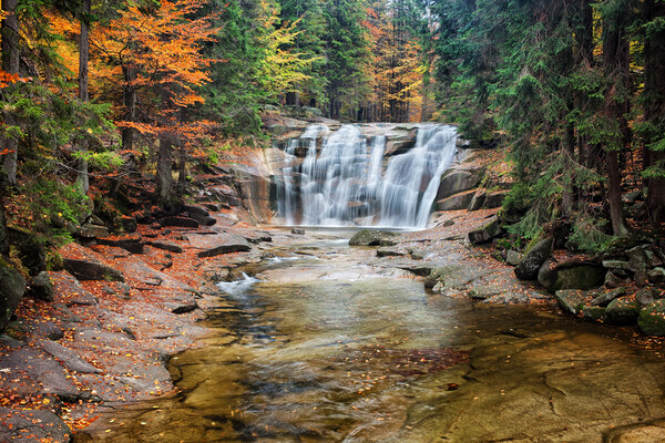 Mumlava Waterfall in Autumn Forest Picture Board by Artur Bogacki