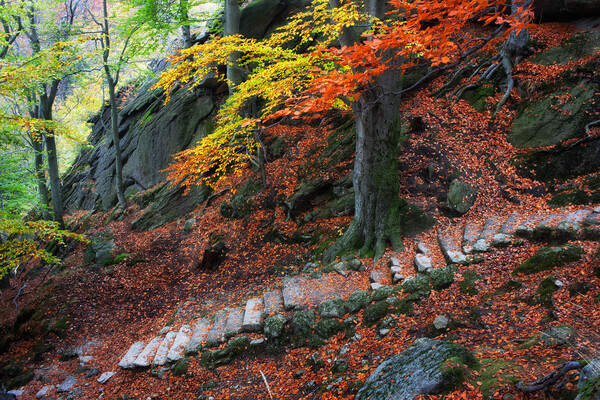 Old Stone Stairs In Autumn Mountains Picture Board by Artur Bogacki