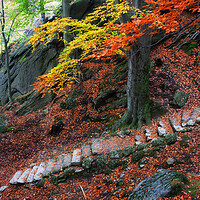 Buy canvas prints of Old Stone Stairs In Autumn Mountains by Artur Bogacki