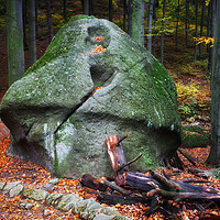 Buy canvas prints of Mushroom Rock in Forest by Artur Bogacki