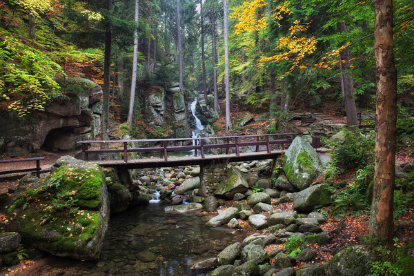 Bridge Over Stream In Autumn Mountain Forest  Picture Board by Artur Bogacki