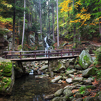 Buy canvas prints of Bridge Over Stream In Autumn Mountain Forest  by Artur Bogacki