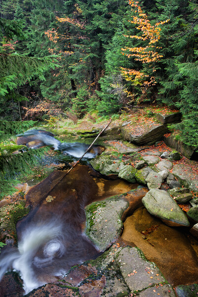 Stream in Mountain Forest Picture Board by Artur Bogacki