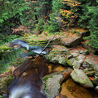 Buy canvas prints of Stream in Mountain Forest by Artur Bogacki