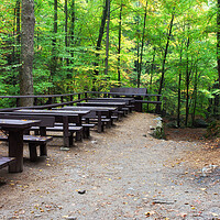 Buy canvas prints of Picnic and Rest Tables and Benches in Forest by Artur Bogacki