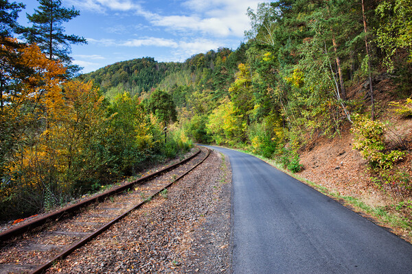 Rural Road and Railway Track Along Autumn Forest Picture Board by Artur Bogacki